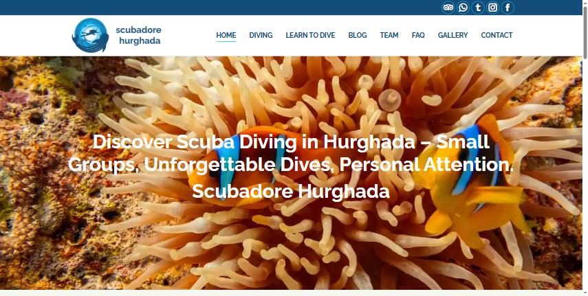Scubadore Hurghada website homepage